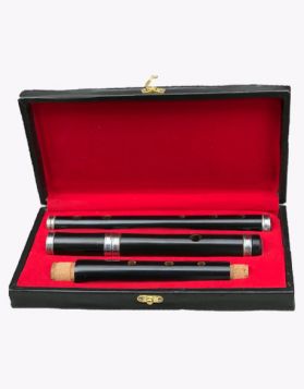 Student Level Irish D-Flute